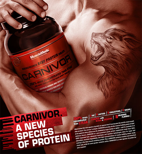 efectos secundarios de carnivor beef protein